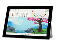 双桥Surface 无法开启、Windows 无法启动或电池无法充电