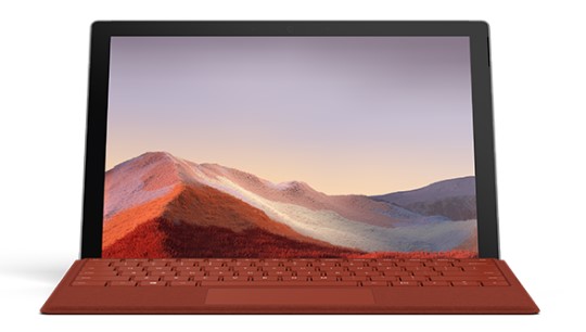 双桥清洁和维护 Surface